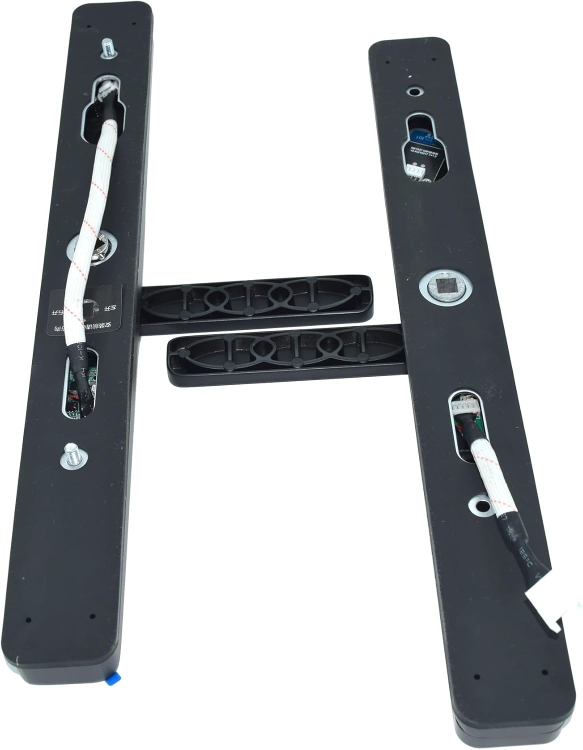 タイムセール アビウ 特選実生苗 今季の強剪定済み 【楽天市場