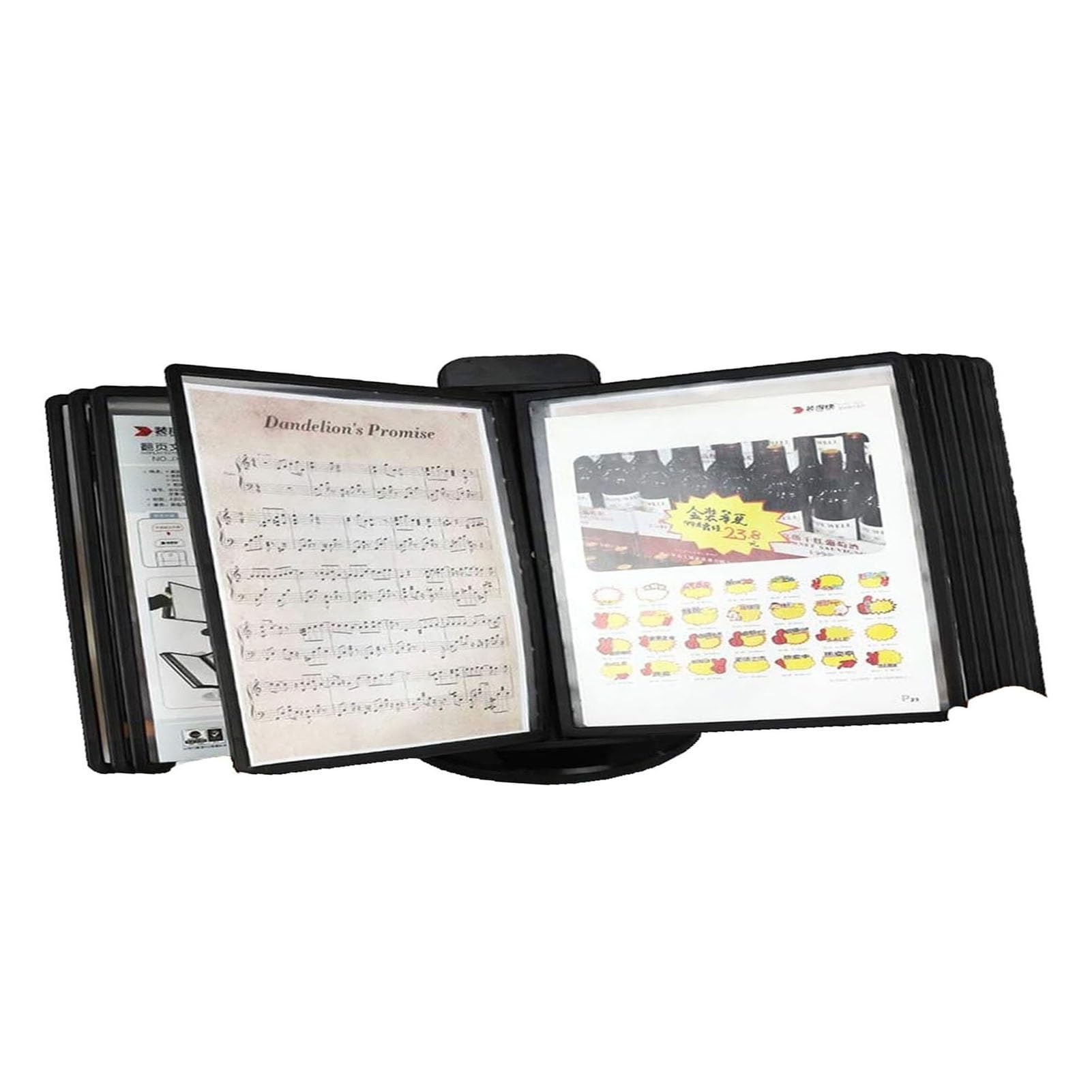 Organizzatore di Documenti da Scrivania - Organizer di Riferimento da Parete, 10 Tasche Espositive, Formato Lettera, Sistema di Consultazione da Scrivania, per Ufficio/RI
