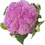 Cortilia, Cavolfiore viola, 700 g