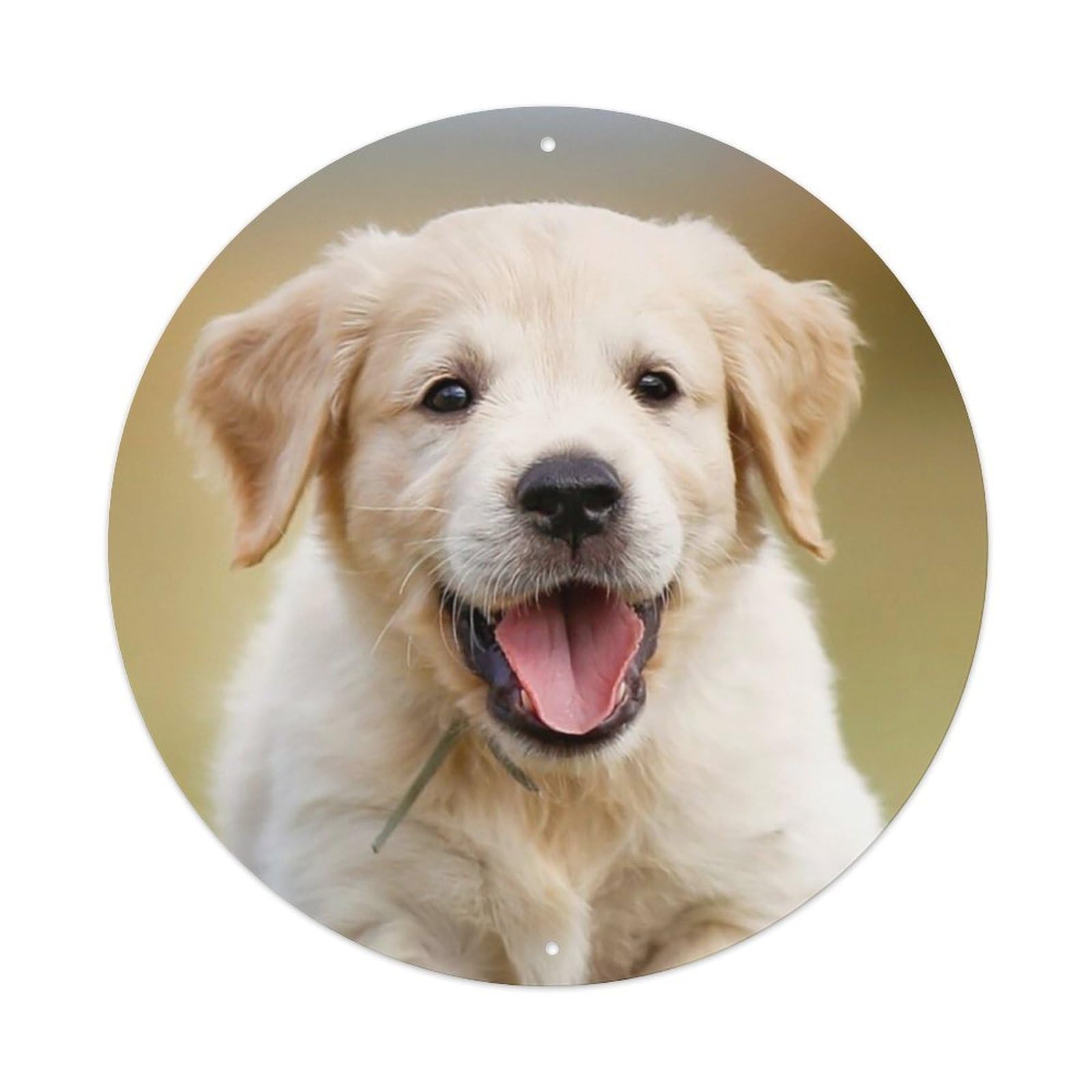 Golden Retriever Puppy Outdoor Poster Metal Tin Sign