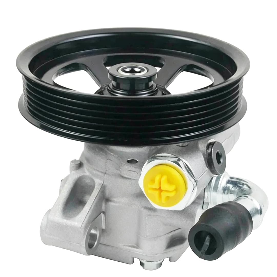 Rufutle Power Steering Pump for Buick Enclave 2008-2017, for Chevrolet Traverse 2009-2017, Power Steering Pump 4910078J00/49100-78J00/25897549/25803117/20954812/15285501