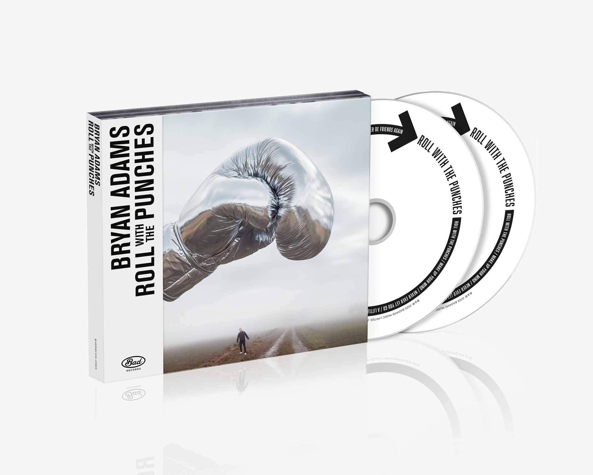Roll With The Punches - Deluxe Edition: Bryan Adams: Amazon.ca: Music