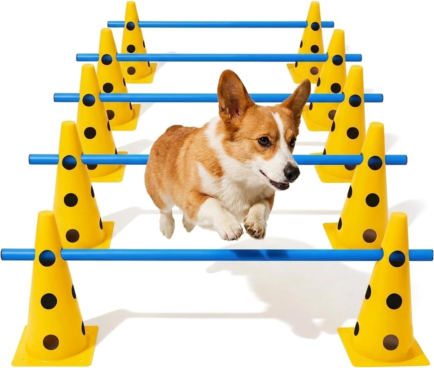 Dog Agility Equipment Set with Adjustable Hurdles for Agility Training