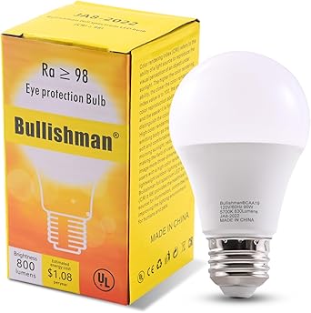Amazon.com: Full Spectrum Sun Light Bulb - A19 9W, Boosts Energy, Mood ...