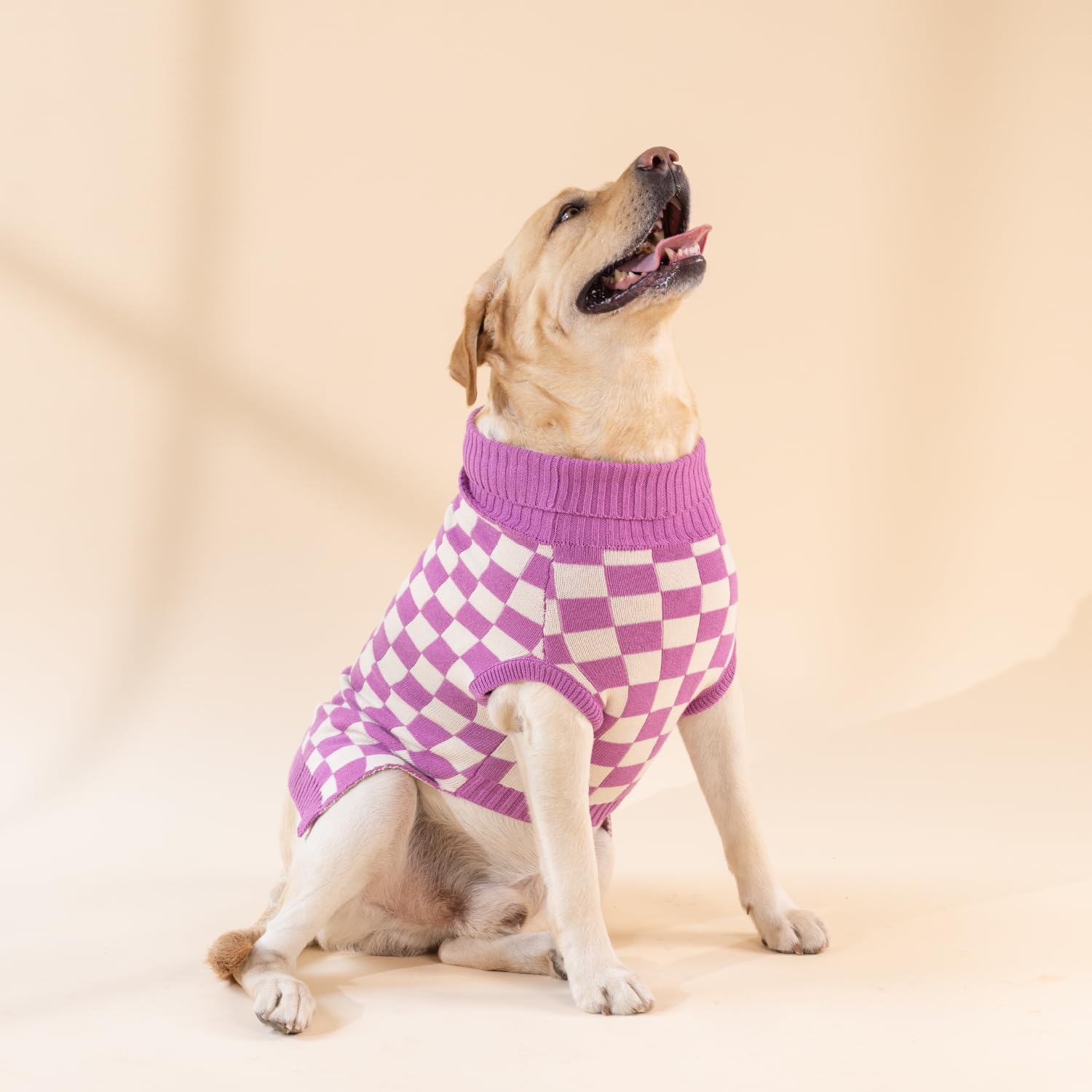 BellyRubs Checkered Pattern Dog & Cat Winter Sweater - Stretchable, Warm & Comfortable - Stylish Cotton Knitted Cold Weather Pet Clothes for Maltese, Chihuahua, Kittens - White & Lilac
