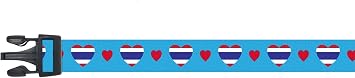 Dog Collar | I Love Thailand | Hearts | Great for National Holidays, Special Events, Festivals, Parades | Made in USA | XSmall Small Medium Large XLarge