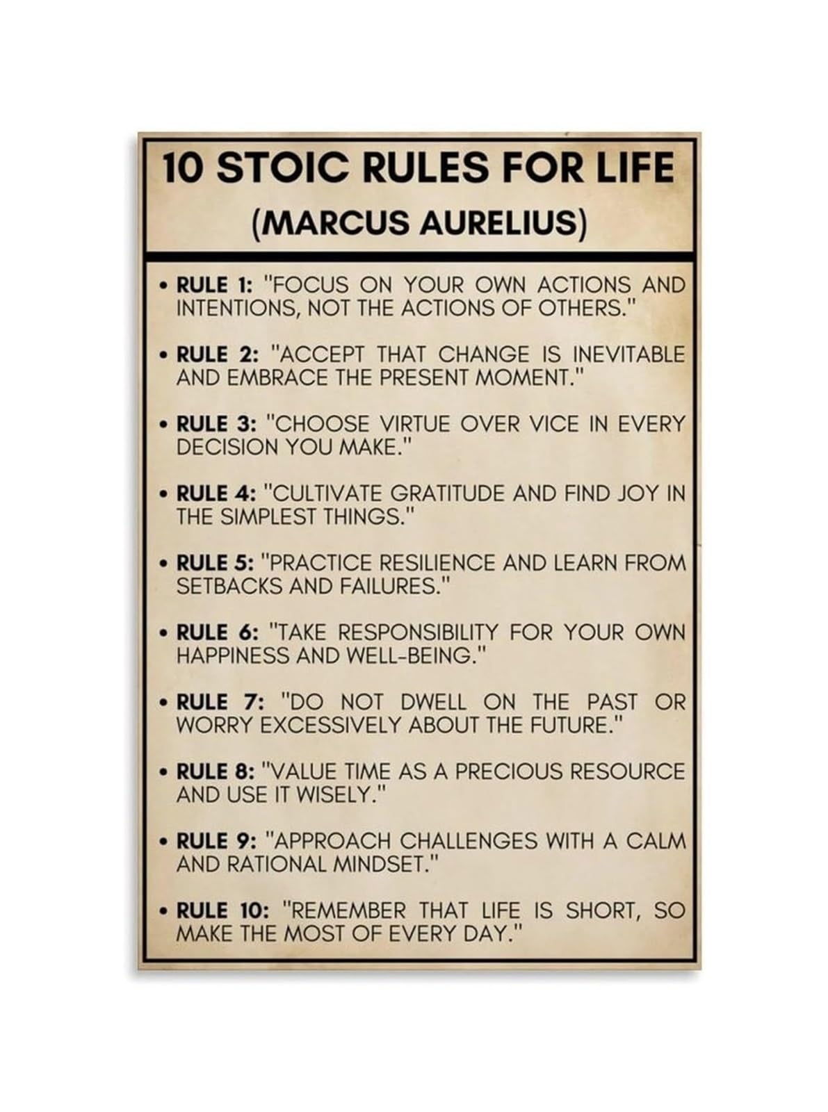BIRXPMOS Marcus Aurelius Stoic Rules - 10 Principles from for Mental Clarity, Resilience and Office Decor(Unframed,16x24inch(40x60cm))