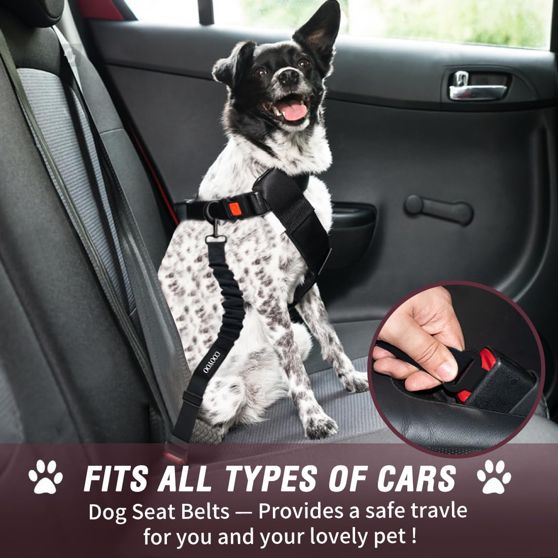 COOYOO Cinturón de seguridad para perro, retráctiles y ajustables para coche, set de 3 unidades, cinturones de seguridad de nailon para mascotas, resistentes, elásticos y duraderos, arnés para coche