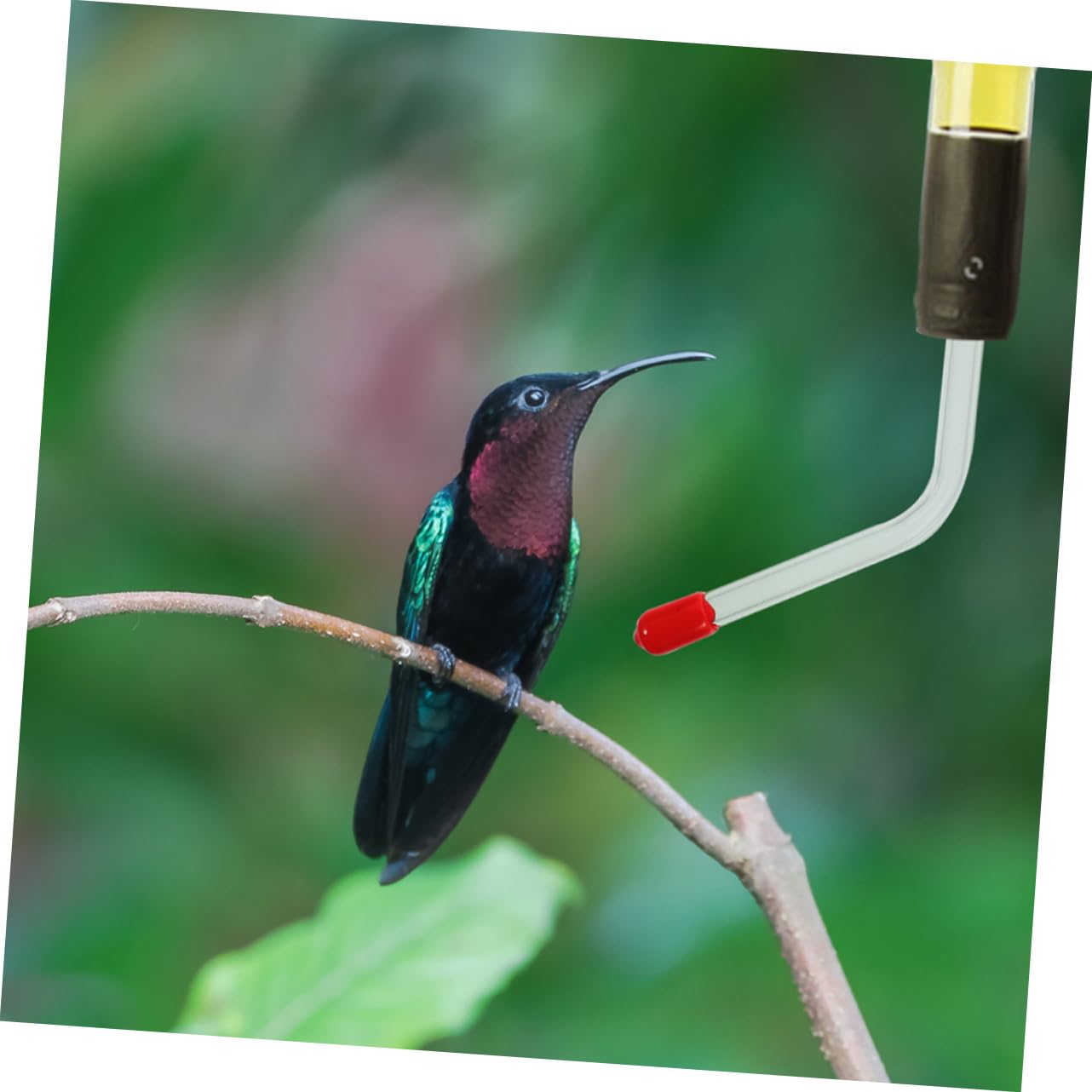 Abaodam 3 Series Comedero para Colibríes De Pájaros Al Aire Sondas De Alimentacion Partes del Comedero De Colibrí Al Aire Bebedero para Pájaros 3 Piezas*3