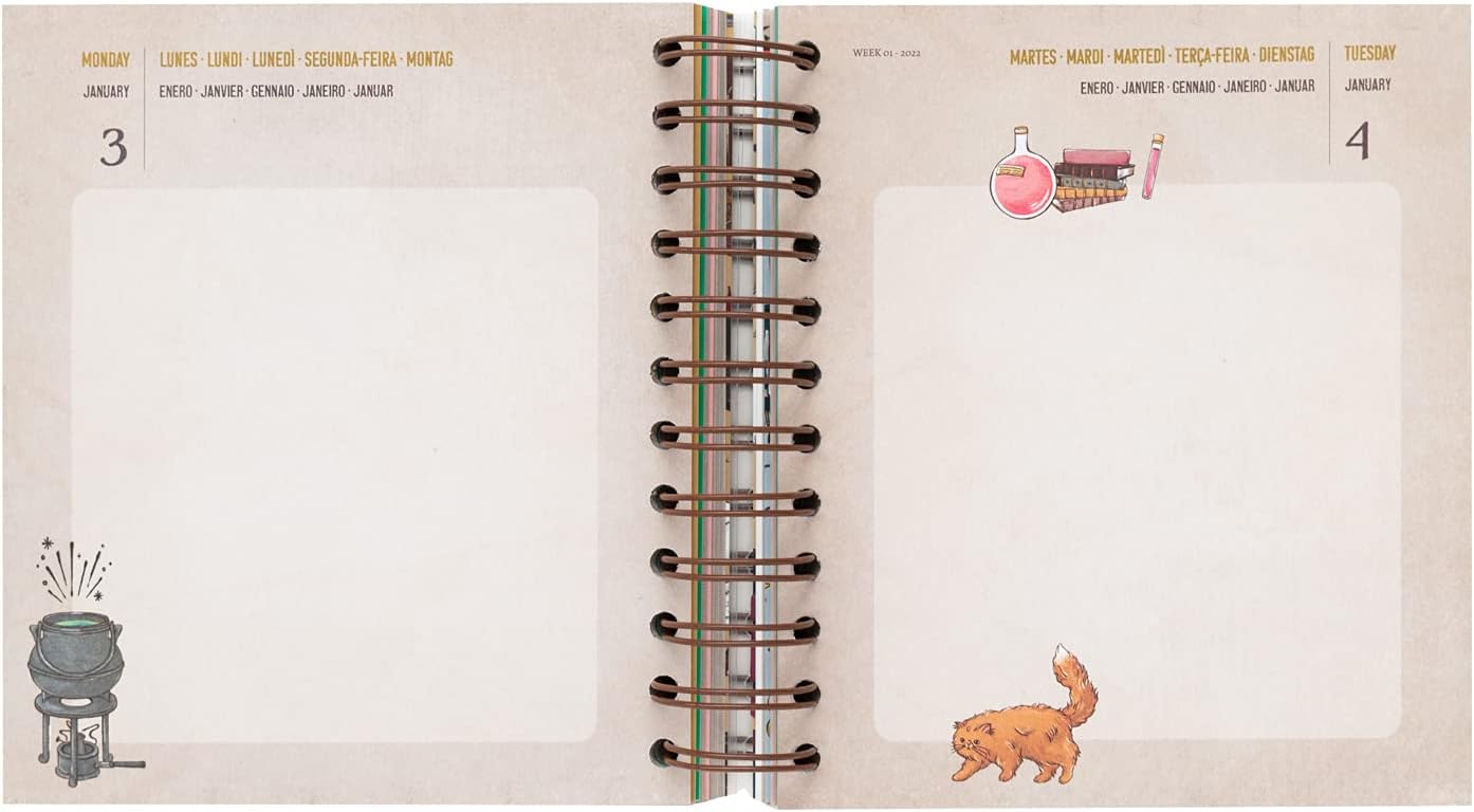 Grupo Erik Official Harry Potter Academic Diary 2021-2022 Day to Page - 11 Months Mid Year Diary August 2021 - June 2022, Harry Potter Red (ADPM2106)