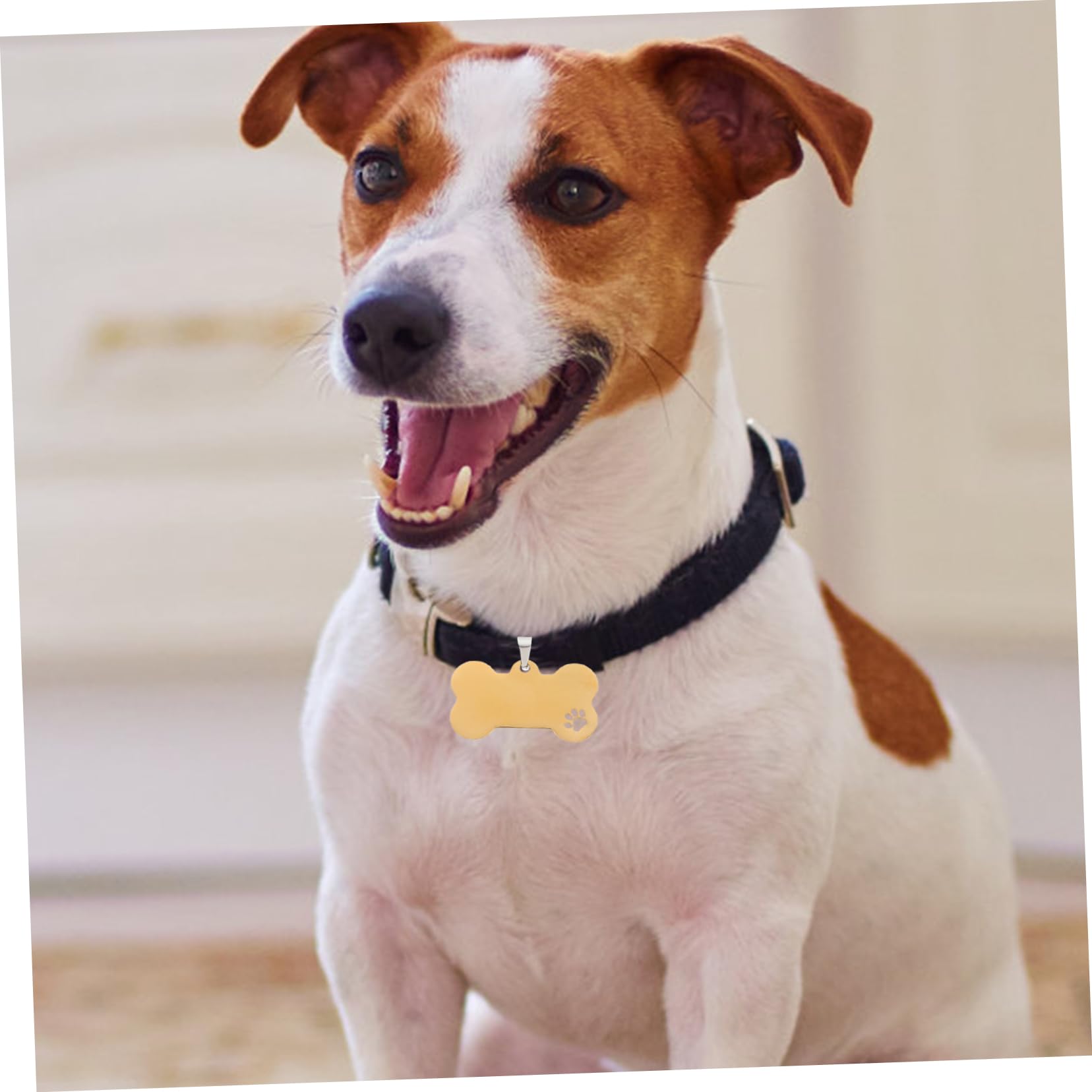 Toddmomy 15 Piezas De Etiquetas De Identificación Para Perros Pequeñas Etiquetas De Perro Para Mascotas De Acero Inoxidable Para Mascotas De o Encantos De