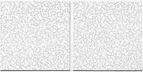 Armstrong Ceiling Tiles; 2x4 Ceiling Tiles - 10 pcs White Ceiling Tiles; Acoustic Ceilings for Suspended Ceiling Grid; CORTEGA Second Look 2767