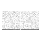 Armstrong Ceiling Tiles; 2x4 Ceiling Tiles - 10 pcs White Ceiling Tiles; Acoustic Ceilings for Suspe