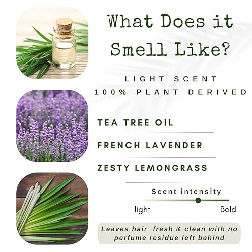 liv Nature Barras de champú de aceite de argán para cabello naranja dulce Ylang Ylang Ylang para todo tipo de cabello biodegradable vegano fabricado liv Nature Barras de champú de aceite de argán para cabello naranja dulce Ylang Ylang Ylang para todo tipo de cabello biodegradable vegano fabricado