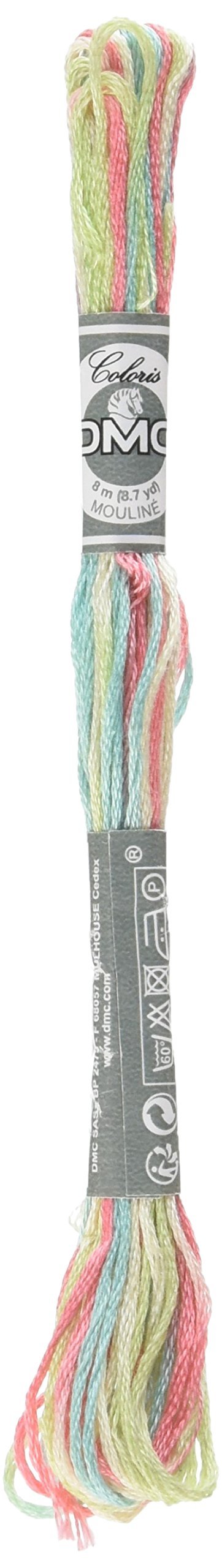DMCColoris Embroidery Floss Wildflowers