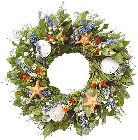 Nautical Luxuries Coastal Wreath - 22" Catalina Island Natural Seashell Indoor Wreath