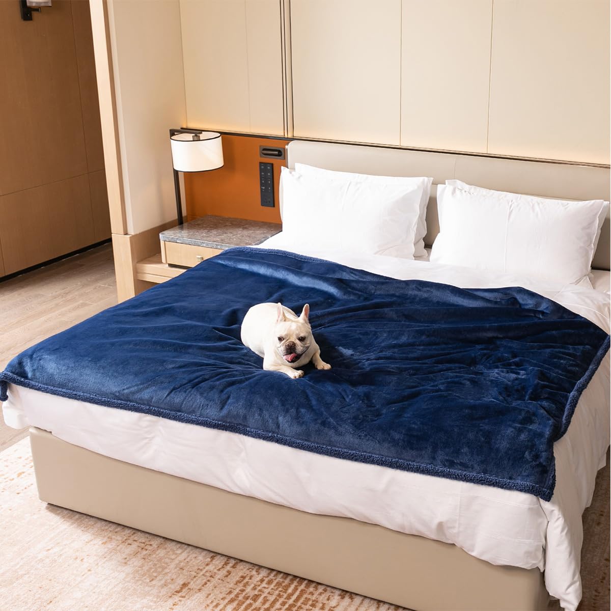Couverture imperméable lavable et étanche pour animal de compagnie pour chiens de taille moyenne et grands chats – Couverture douce pour chiot et canapé – Gris – 200 x 200 cm