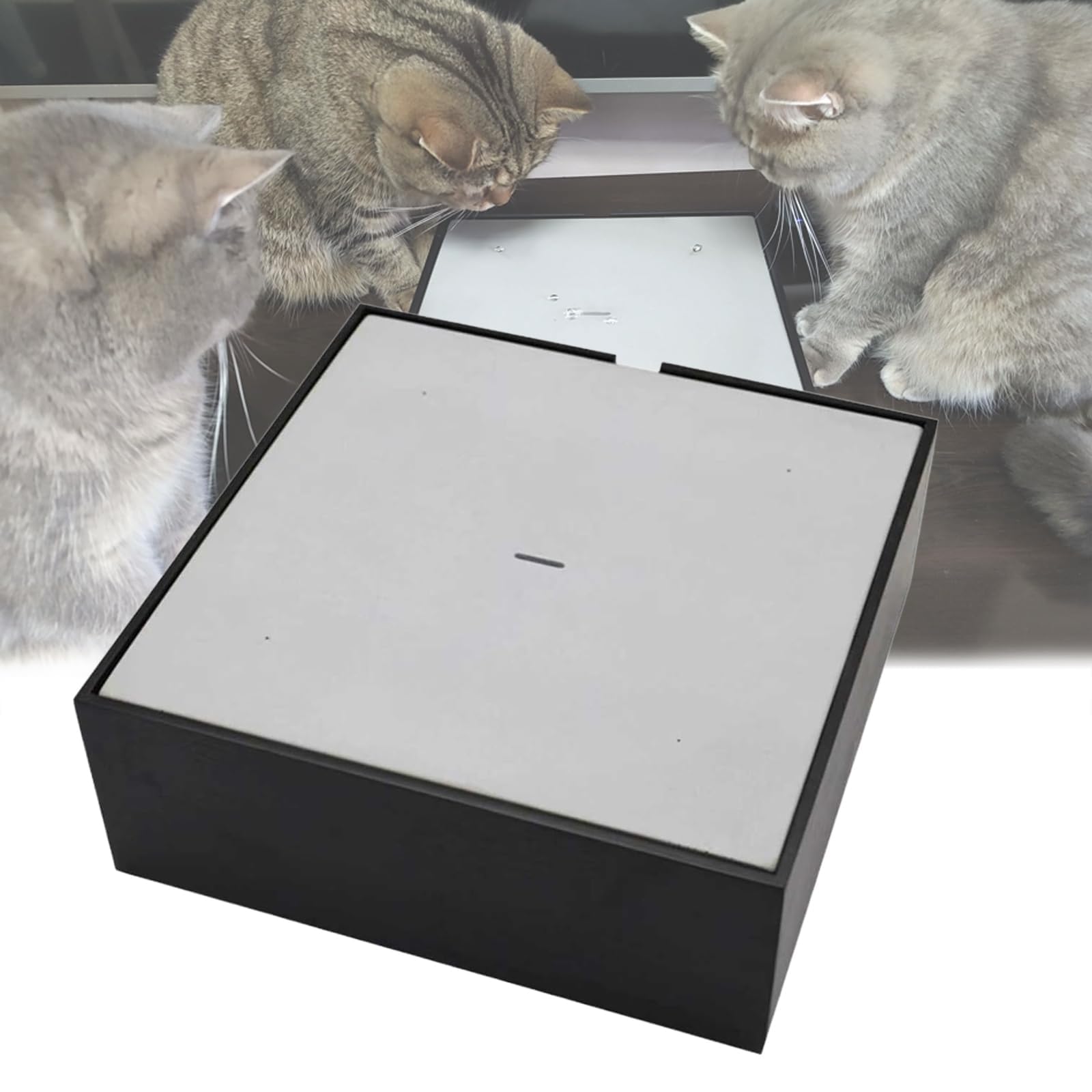 Jouet pour Chat Automatique en Forme De Goutte d'eau, avec Réservoir d'eau De 600 ML, Filtre Amovible Et Lavable Intégré, Débit Réglable, pour Une Détente à La Maison
