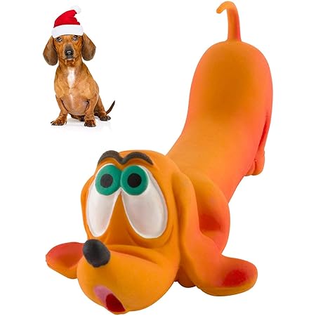 toy doxie