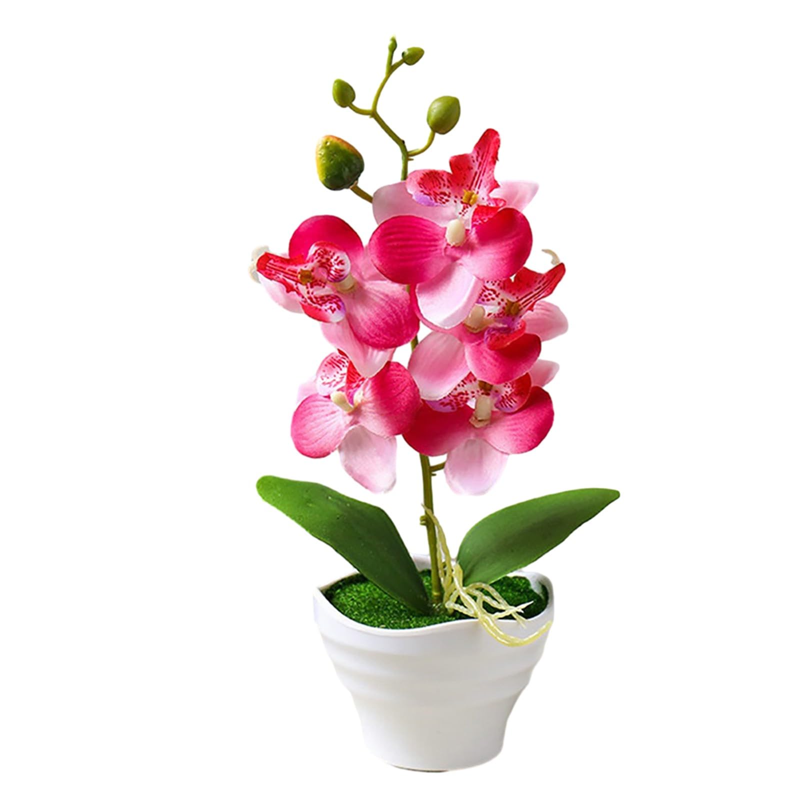 BlesConi Artificial Phalaenopsis Orchid Bonsai in Pot, Silk and PU Floral Decor for Home and Office, 27cm Height(B)