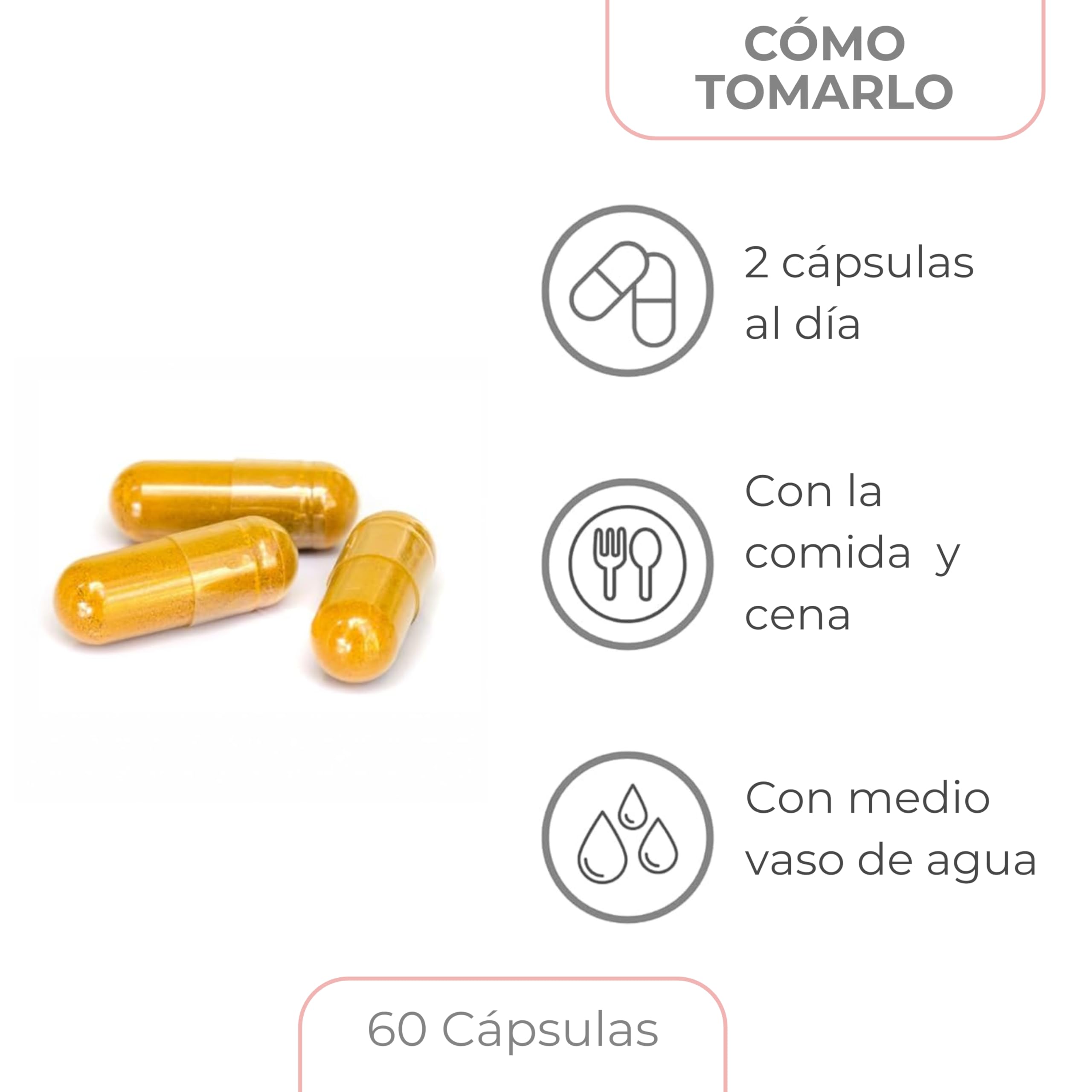 Berberina | Extracto de Berberis Vulgaris Titulado al 97% | 485 mg por Dosis | Regulador Metabólico | Energía Celular y Bienestar Digestivo | 60 Cápsulas Vegetales