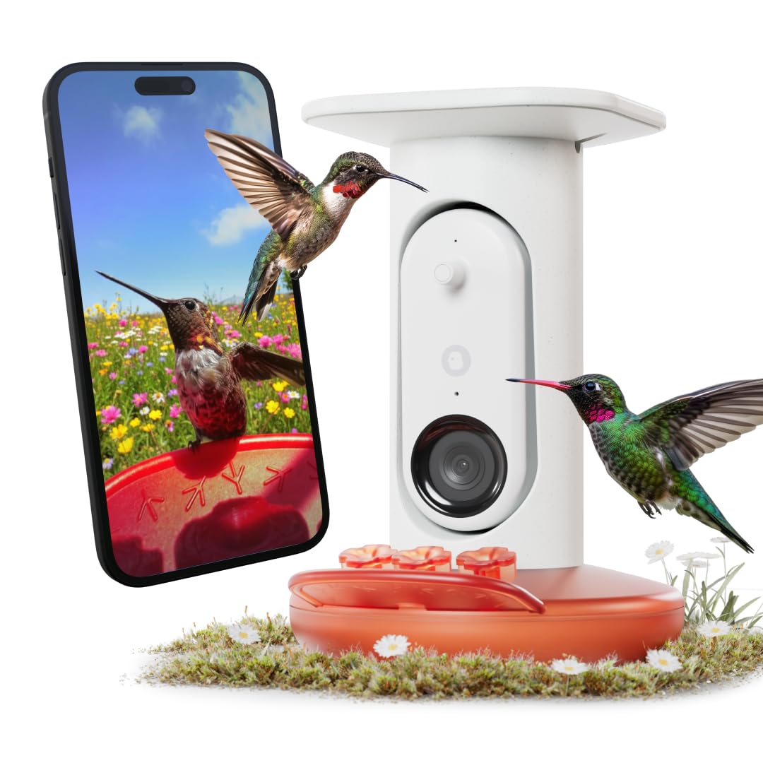 Birdbuddy Smart Non-Solar Pro Hummingbird Feeder