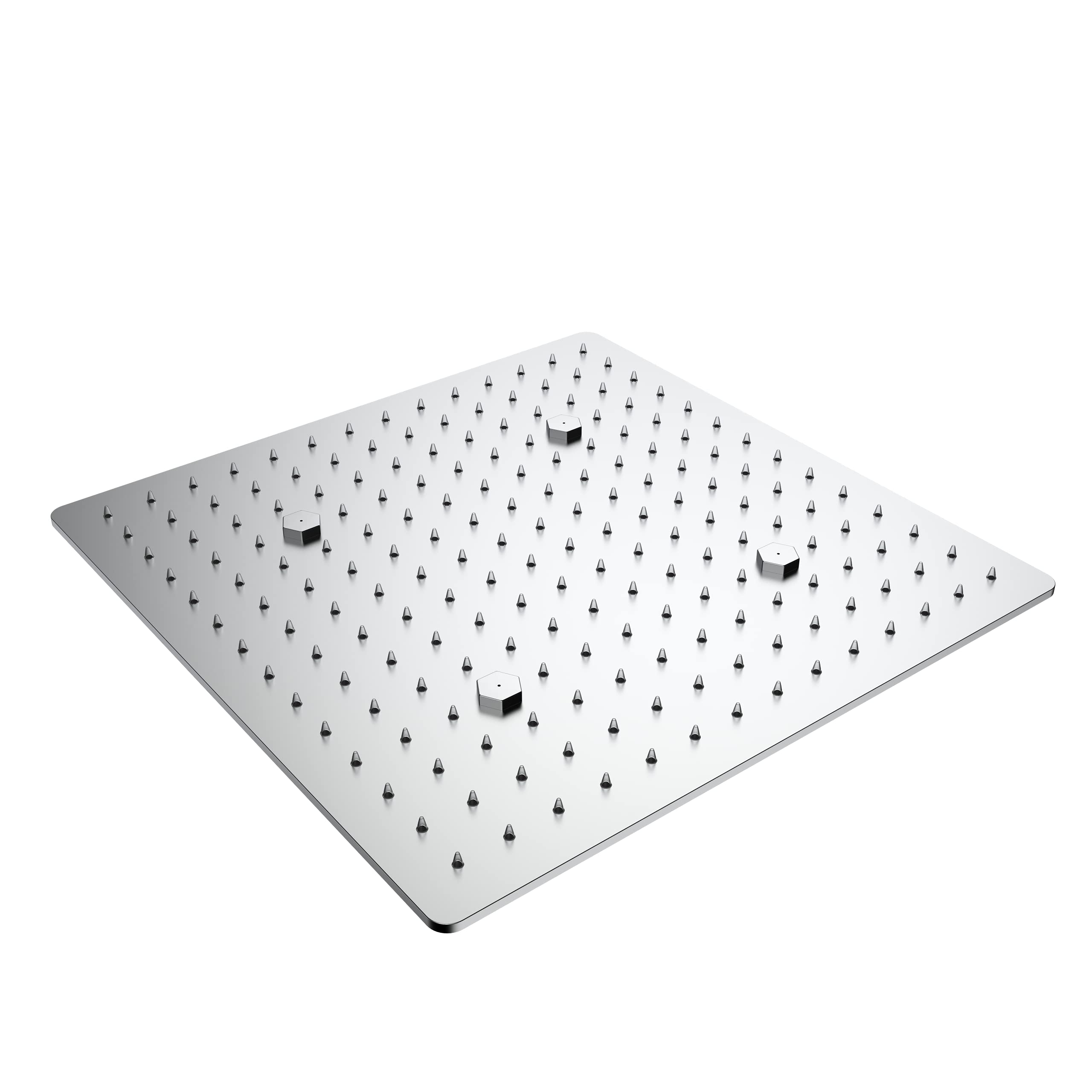 RN SS Mist Shower
