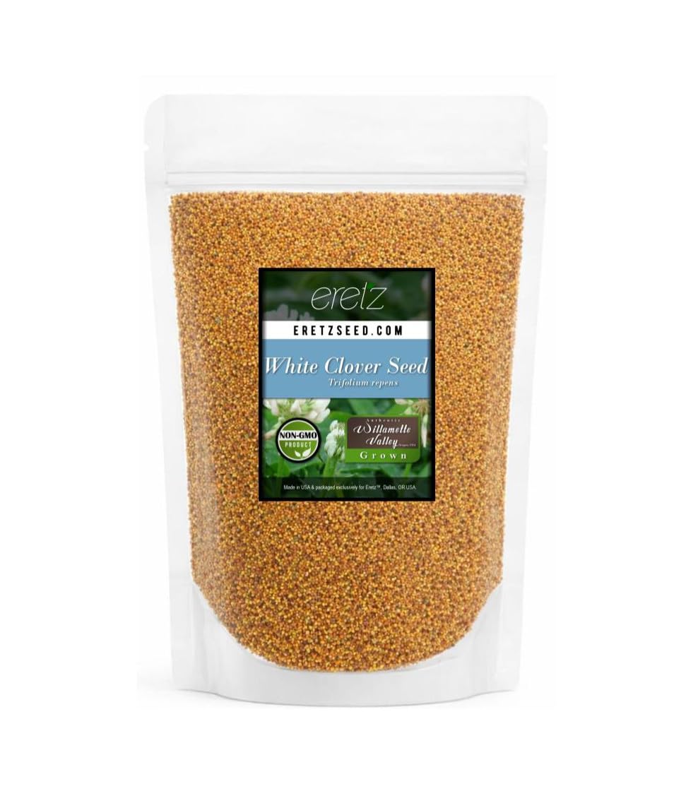 White Clover Seed by Eretz