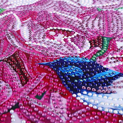 Leeofty DIY 5D Pintura Diamante Kits DIY Broca Pintura Diamante Needlework Pintura De Cristal Strass