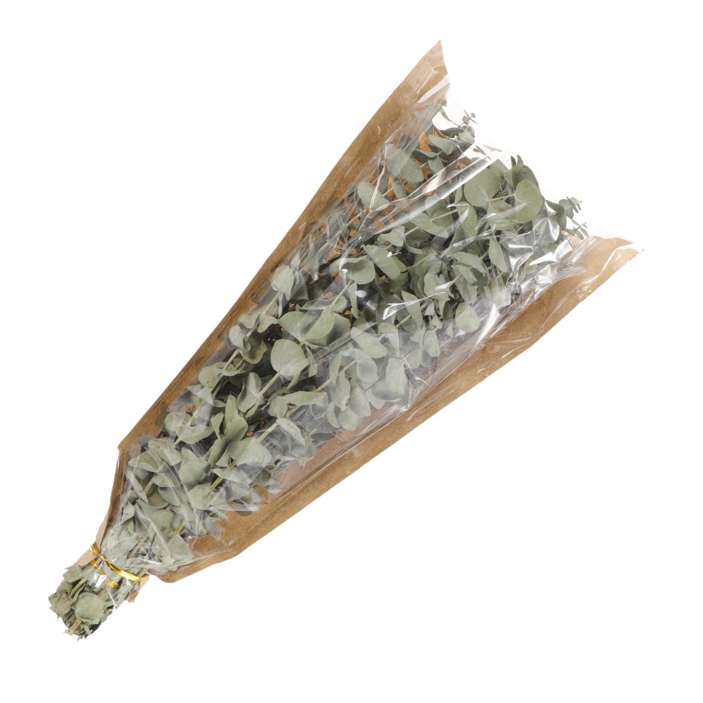 Alipis 2 Pièces 1 Bouquet de Bouquet de Lavande séchée Feuilles pour la bouda Decoration Interieure décoration intérieure Eucalyptus séché décor Floral