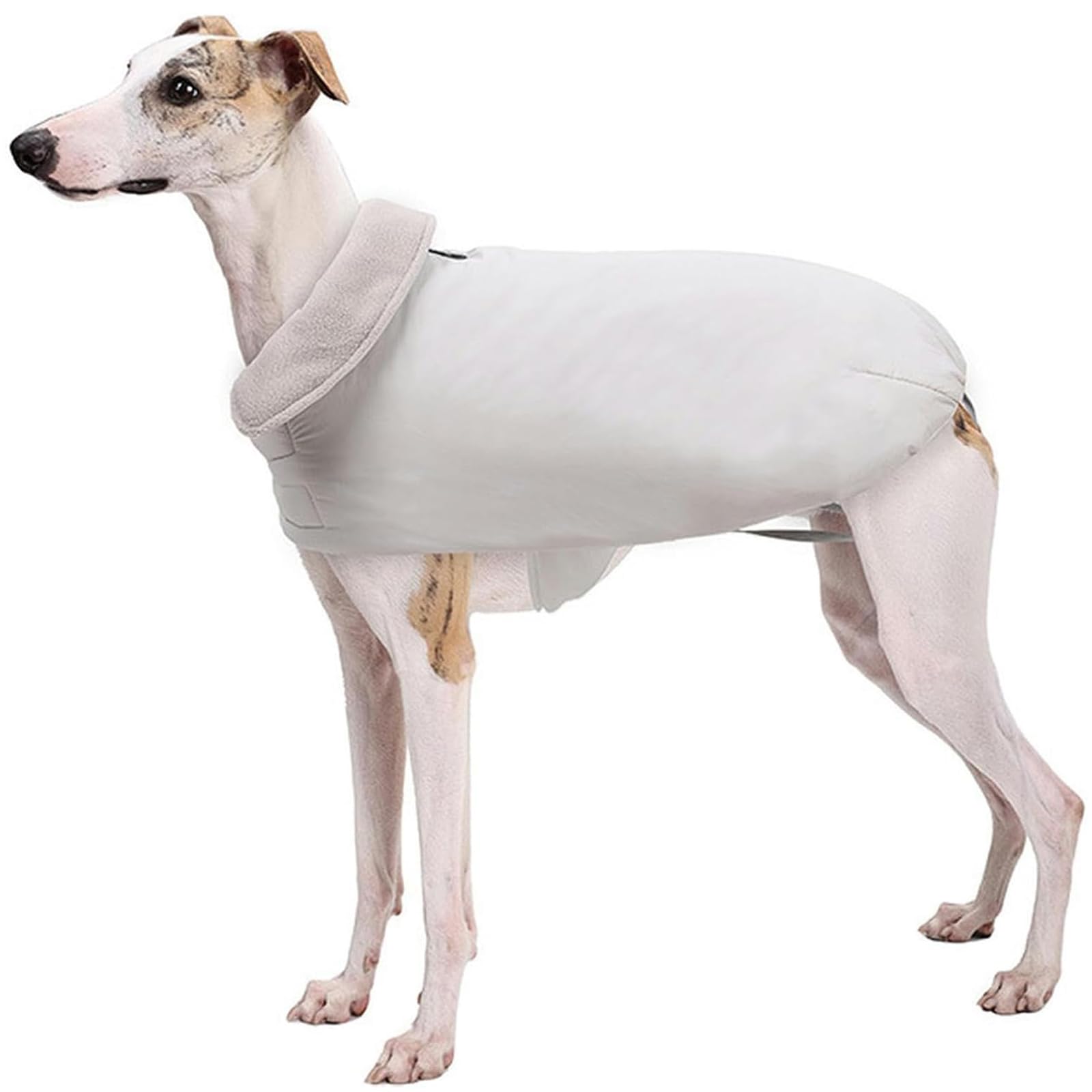 Veste chaude pour chien Whippet protection contre le grand froid