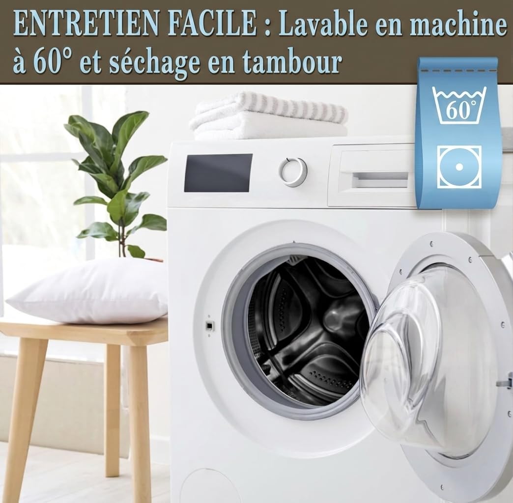FAM’Home Oreiller 65x65 Lot de 2 | Hypoallergénique Coussin Rectangulaire Respirant et Lavable | Oreillers en Boules de Fibres Creuses en Polyester | Moelleux et Facile d'entretien | Anti Acarien