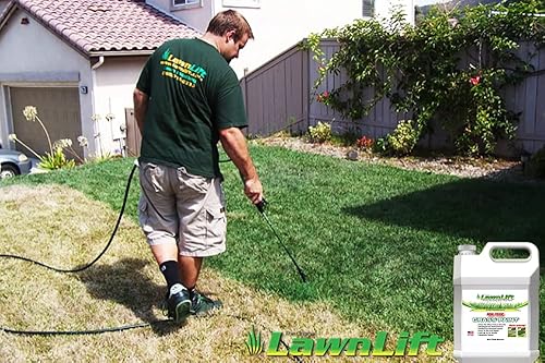 Miniatura 3 de Lawnlift pintura para césped ultra concentrada, color verde de 16 onzas  1.375 galones de producto.