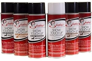 Shapleys Show Touch Up: Enhance Your Ride with Effortless Black Magic