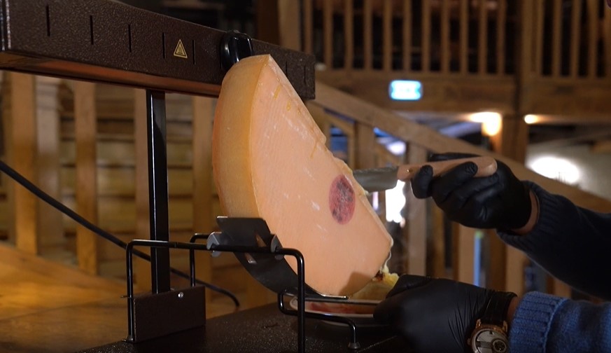 Amazon.com: BRON COUCKE - Commercial Raclette Cheese Melter