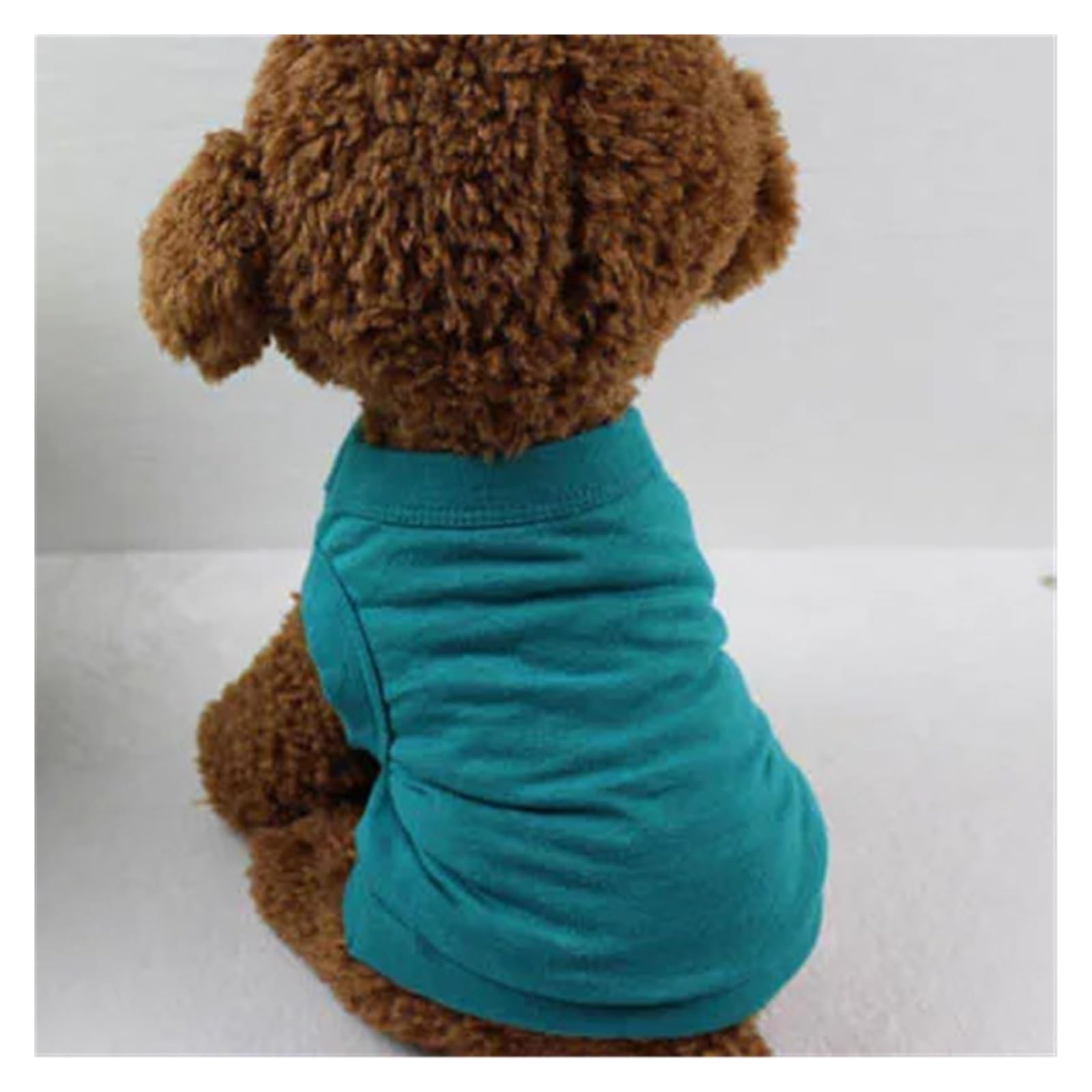 DÉBARDEUR POUR CHIEN léger en coton vert forêt idéal pour les promenades estivales du chiot