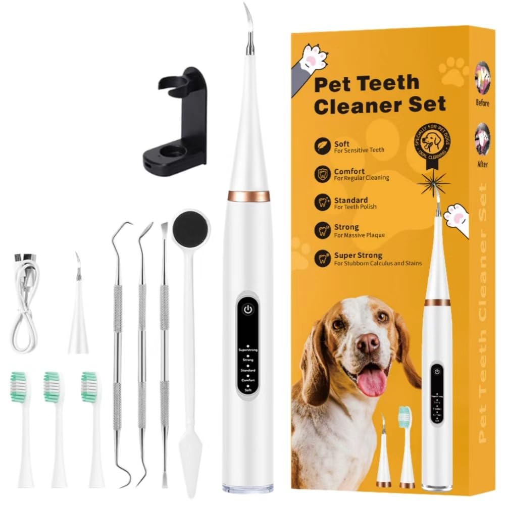 ZampaDent Dispositivo Professionale per la Pulizia Dentale del Cane-Kit Pulizia Denti per Cani e Gatti, 5 Modalità, Ricarica USB, Rimozione Tartaro e Macchie,Compact et pratique