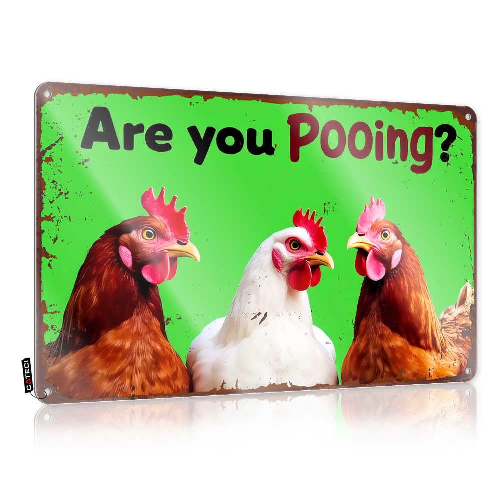 Fzfn Colour Tin Wall Decor Premium Housewarming Custom Are You Pooing? A Chicken's Perspective - Vintage Wall Decor For Ranch(30X40cm)