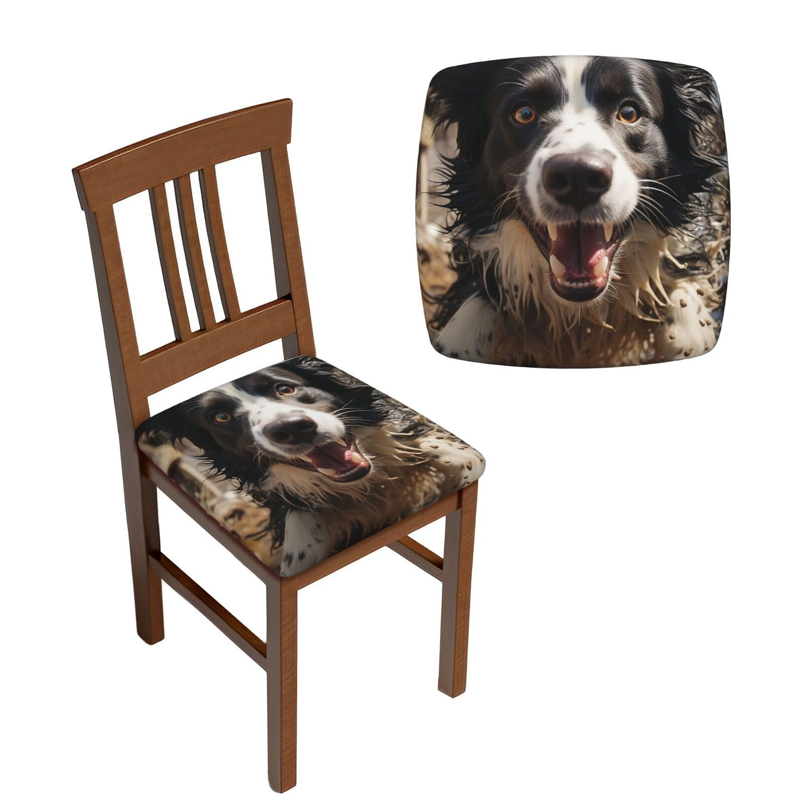 Housse de chaise de salle à manger pour protéger des animaux