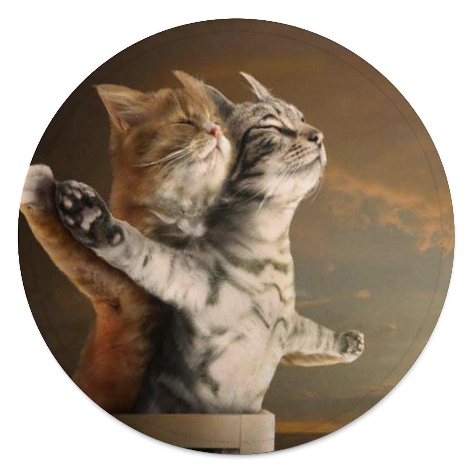 Couverture ronde chats volants flanelle 140 cm - Plaid imprimé pliable