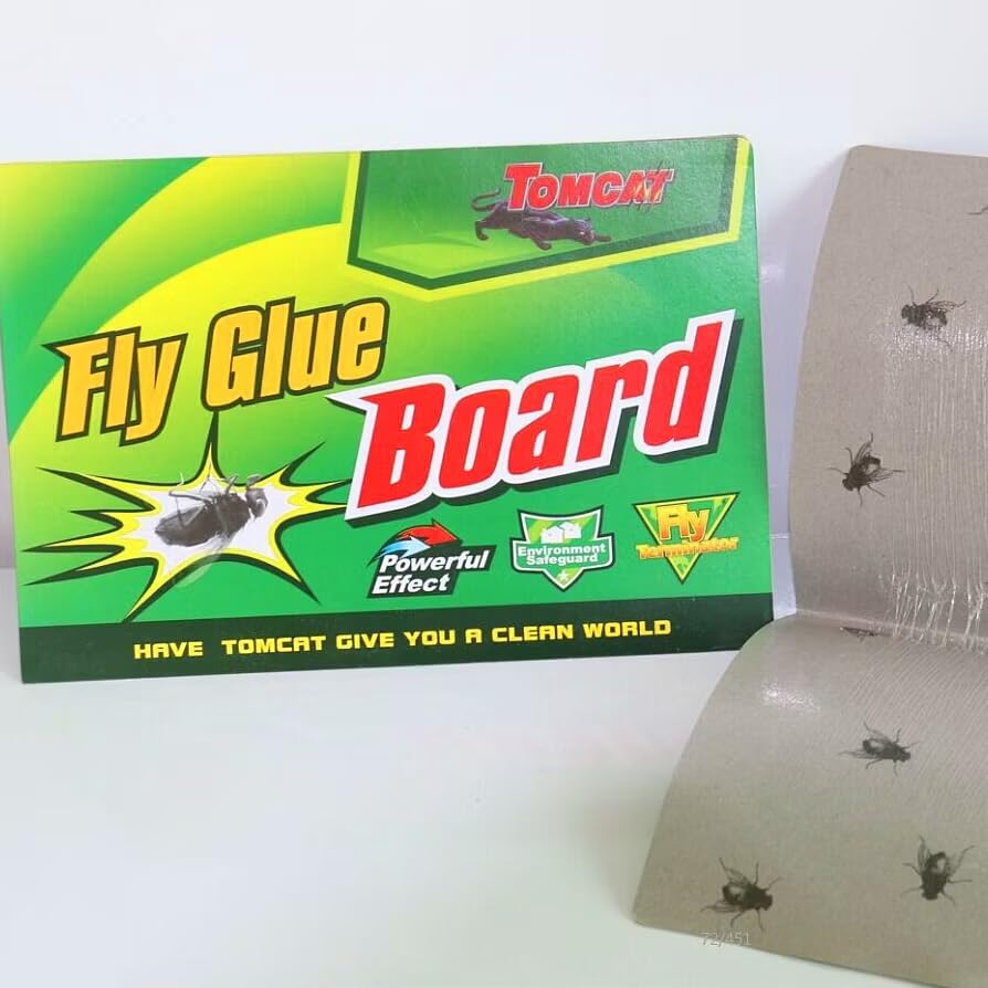 Fly Glue Trap Sticker Paper/Sticky Traps for Home Flies (Green) (Pack of 10)