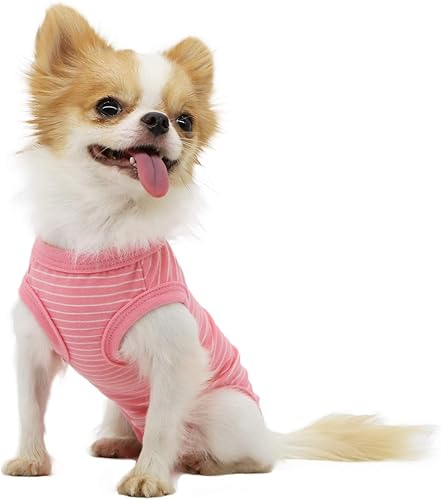 Miniatura 2 de LOPHIPETS Pijama de camisa para perro para niña, se adapta a 10-14 libras, Shih Tzus, mini caniches, bichones, rayas rosasXL