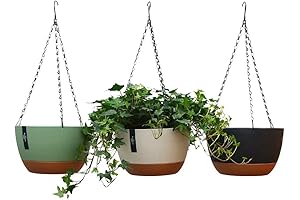 Elegant 3 Pack Hanging Planter Set