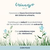 Ver la foto 2