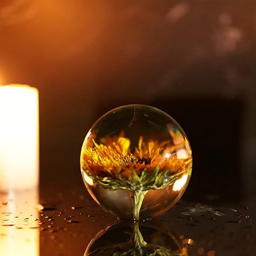 Miniatura 4 de Bola de tulipán amarillo real de resina de pisapapeles de tulipán amarillo, bolas de tulipán amarillas, adornos coleccionables para decoración de