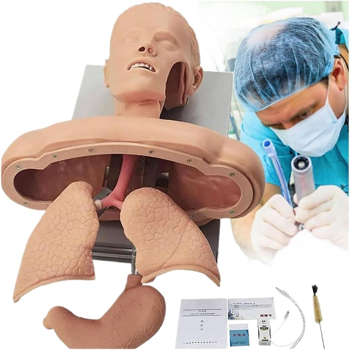 Tracheal Intubation Manikin,Airway Managment Trainer Simulator,Oral Nasal Intubation Airway Management Kit,Intubation Head Teaching Learning Mannequin
