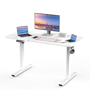 Escritorio Elevable Eléctrico 120x60cm con Gancho,USB,Mesa Regulable Altura con 2 Alturas de Memoria,Mesa Trabajo ergonómica,Escritorio mesas Gaming para Oficina y hogar,Blanco