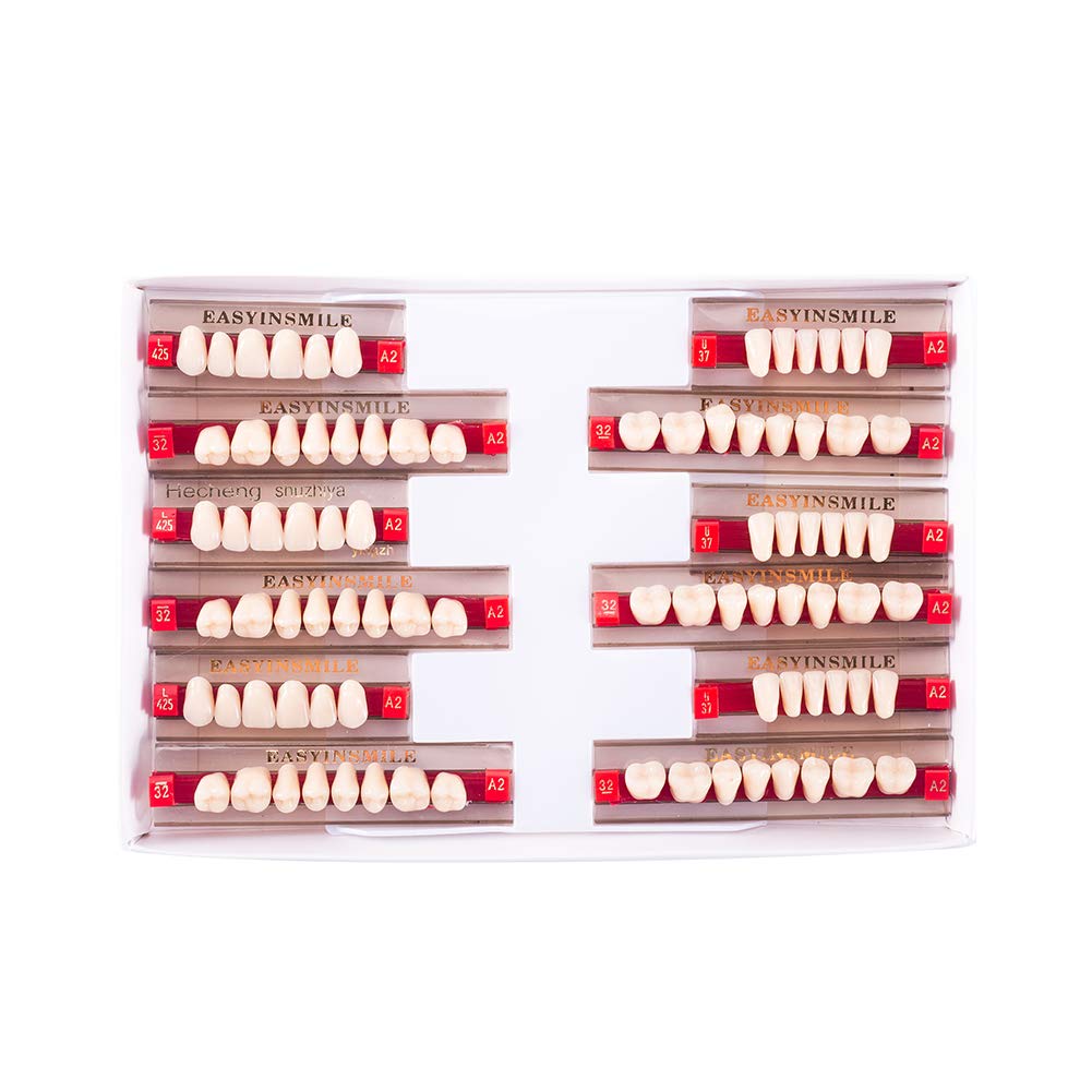 Easyinsmile Dental Synthetic Resin Teeth A2 A3 False Upper - dental care kits | Mubboo
