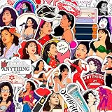 100Pcs Singer Stickers for Water Bottles - Singer Decals - Party Supplies - Gift for Women & Men