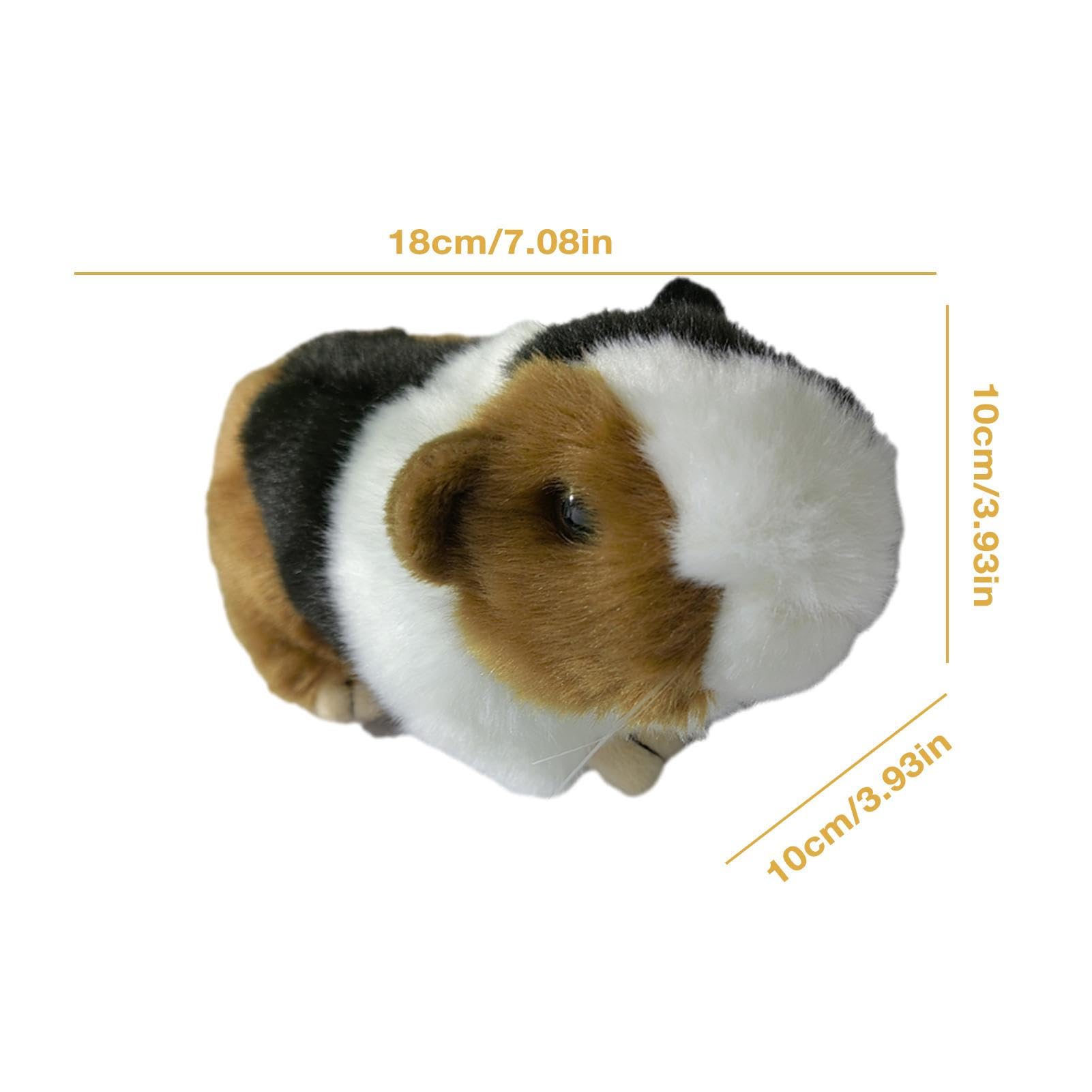 Amazon.co.jp: モルモットのぬいぐるみ,モルモットのぬいぐるみ